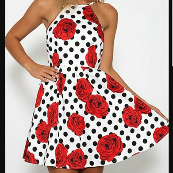 Dresses & Skirts - 🔥3/$25-Vintage Style Rose-Polka Dot Dress
